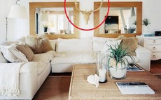 Vật phẩm trong phòng khách cần tránh để bảo vệ vận khí gia đình bạn