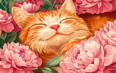 Khám phá tử vi tháng 3 âm lịch 2026 cho con giáp Mão