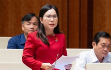 ĐBQH đề xuất coi việc sinh đủ 2 con là trách nhiệm xã hội gắn với mục tiêu phát triển bền vững của đất nước