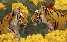 Cung Điền Trạch sáng rực, 4 con giáp dễ mua nhà chốt đất cuối năm