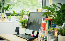 Người mệnh Thủy để cây gì trên bàn khơi thông dòng chảy tài lộc