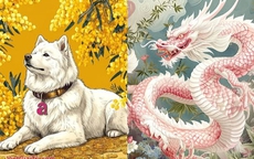 5 cặp con giáp đại kỵ trong kinh doanh: Hợp tác là dễ trắng tay