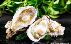 Loại hải sản này vừa béo vừa ngon, giàu protein và dinh dưỡng, 2 cách chế biến tại gia ăn hoài không chán!