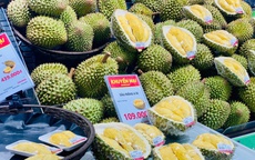 Loại quả được ví là ‘vua trái cây’ của Việt Nam hương vị thơm ngon khó cưỡng, có giá trị xuất khẩu lên tới cả tỷ USD