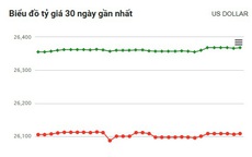 Tỷ giá USD hôm nay 29/4: USD đảo chiều tăng, NDT giảm trở lại