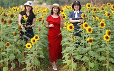 Nghỉ lễ 30/4, xách balo đi đâu cho 'đã', không lo đau ví?