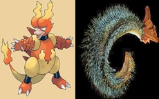 Bí ẩn về 7 loài động vật có sức mạnh tương đồng với Pokémon huyền thoại
