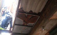 Ninh Bình: Thúc tiến di dời khẩn cấp 2 khu chung cư xuống cấp ở phường Nam Định