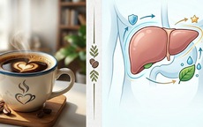 Điều gì xảy ra với gan khi uống cà phê mỗi ngày?