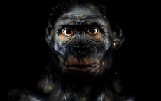 Bí ẩn bộ gen người: Tổ tiên chúng ta từng lai tạo với hai loài siêu cổ xưa, riêng biệt và bí ẩn