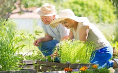 3 hành vi quyết định tuổi thọ: Tập thể dục đứng thứ ba, ngủ đủ đứng thứ hai, điều đầu tiên nhiều người không làm được