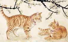 Gia đình có đủ 3 con giáp này, nghèo mấy cũng đổi vận, tiền vào như nước