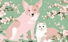 Khắc khẩu nhưng hợp làm ăn: 3 cặp con giáp cứ bắt tay nhau là tiền bạc bùng nổ