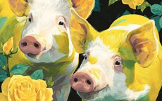 Đừng ngây thơ nữa: Đây là biểu hiện khi 12 con giáp nam khi thay lòng