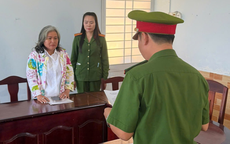 Khởi tố, bắt giữ người phụ nữ lừa đảo chiếm đoạt 6 tỷ đồng liên quan chuyển nhượng đất tại Phú Quốc