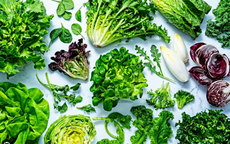 Người bị gan nhiễm mỡ tránh ăn nhiều loại trái cây nào?