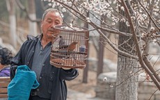 Cãi vã với con dâu, tôi tìm ra cách sống để tuổi già an yên, dễ thở hơn