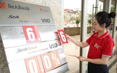 Điểm tên ngân hàng có lãi suất vượt 7,5%/năm: Gửi 100 triệu đồng được nhiều nhất bao nhiêu tiền?