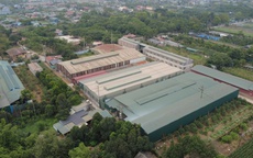Chủ tịch UBND TP Hà Nội yêu cầu khẩn trương kiểm tra, xử lý nghiêm các hành vi vi phạm pháp luật đất đai, PCCC, môi trường tại loạt nhà xưởng ở Quốc Oai