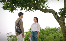 Hoa hậu Vi Minh từ chối tình cảm của thiếu gia Tập đoàn Hải Minh