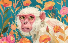 Bí mật khó nói của 12 con giáp nam: Người giấu 'quỹ đen', người vẫn nhớ tình cũ