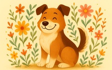 Dự báo tử vi tuần mới cho con giáp Tý, Mão,Thìn, Tỵ, Ngọ, Dậu,Tuất, Hợi