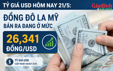 Tỷ giá USD hôm nay 21/5: Đồng Đô la Mỹ bán ra đang ở mức 26,341 đồng/USD