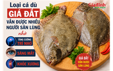 Loại cá dù giá đắt vẫn được nhiều người săn lùng nhờ tăng cường trí nhớ, sáng mắt, khỏe xương