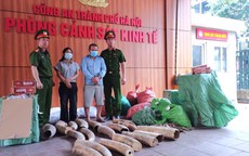 Hà Nội: Triệt phá đường dây tàng trữ, mua bán hơn 240kg ngà voi và gần 70.000 bao thuốc lá lậu