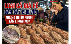 Loại cá giá rẻ bán đầy chợ Việt nhưng nhiều người vẫn e ngại mua