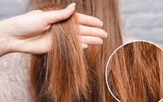 Tóc xơ xác như rơm vì nắng nóng: 5 bước phục hồi tóc cháy nắng cấp tốc ngay tại nhà
