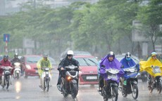 Thời điểm này Hà Nội và miền Bắc đón 'mưa vàng' giải nhiệt, kết thúc đợt nắng nóng như thiêu đốt