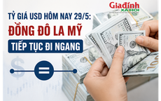 Tỷ giá USD hôm nay 29/5: Đồng Đô la Mỹ tiếp tục đi ngang