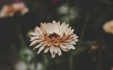 Số cuối ngày sinh Âm lịch của người 'giàu nứt vách'