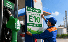 Bộ Công Thương yêu cầu hãng xe đánh giá toàn diện tác động của xăng E10 trước ngày bán đại trà trên toàn quốc