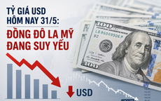 Tỷ giá USD hôm nay 31/5: Đồng Đô la Mỹ đang suy yếu