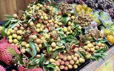 Tiểu thương lý giải giá vải tươi đầu mùa cao chót vót nhưng vẫn đắt hàng