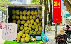Loạn giá sầu riêng, nơi bán vài chục nghìn, nơi lên tới hàng trăm nghìn một kg