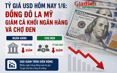 Tỷ giá USD hôm nay 1/6: Đồng Đô la Mỹ giảm cả khối ngân hàng và chợ đen