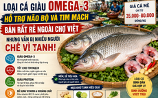 Loại cá giàu omega-3 hỗ trợ não bộ và tim mạch, bán rất rẻ ngoài chợ Việt, nhưng vẫn bị chê vì lý do này