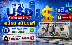 Tỷ giá USD hôm nay 11/6: Đồng Đô la Mỹ khối ngân hàng ổn định, ngược lại thị trường chợ đen giảm giá 