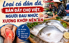 Loại cá dân dã, bán đầy chợ Việt, người đau nhức xương khớp nên ăn