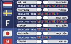 Lịch phát sóng trực tiếp bảng F - FIFA World Cup 2026 trên VTV