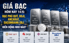 Giá bạc hôm nay 14/6: Bạc Phú Quý, Doji, Ancarat, Sacombank-SBJ biến động như nào?