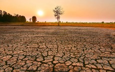 Dự báo xuất hiện El Nino với cường độ mạnh nhất kể từ năm 1950, nước ta ảnh hưởng ra sao?
