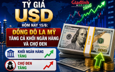 Tỷ giá USD hôm nay 15/6: Đồng Đô la Mỹ tăng cả khối ngân hàng và chợ đen