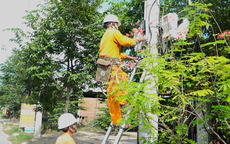 Lịch cúp điện Vĩnh Long (Trà Vinh cũ) từ ngày 16 - 21/6/2026: Tăng hàng loạt khu dân cư bị mất điện cả ngày
