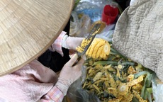 Tiểu thương lý giải nguyên nhân loại dứa có giá đắt gấp đôi dứa thường nhưng vẫn chiếm được cảm tình của người tiêu dùng