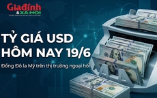 Tỷ giá USD hôm nay 19/6: Đồng Đô la Mỹ chợ đen chững giá liên tục mấy ngày liền
