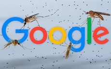 Google muốn thả 32 triệu con muỗi “công nghệ” về rừng: Mục tiêu là gì?